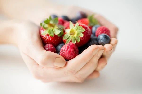 Hands holding fresh berries
